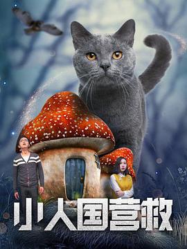 91福利视频网